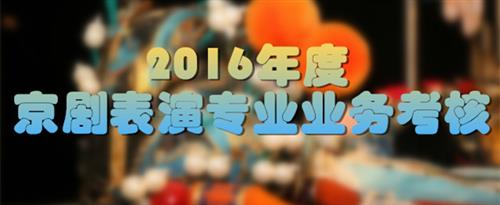 大胸女人被草到爽插入视频网站国家京剧院2016年度京剧表演专业业务考...